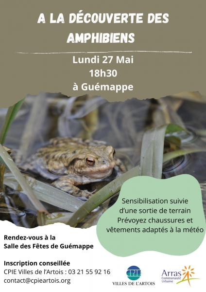 A_la_dcouverte_des_Amphibiens