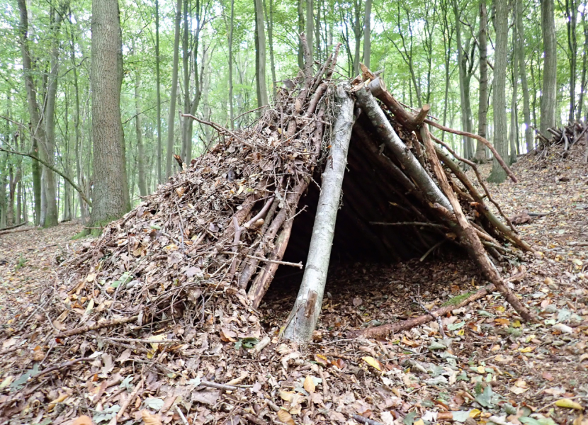 Bushcraft